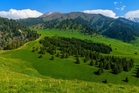 Kok-Zhailau is a tract on the territory of the Ile-Alatau State National Natural Park, located from east to west between the Small and Big Almaty gorges, 10 km from the city of Almaty in Kazakhstan.