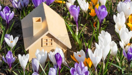 Symbolic wooden house among blooming crocuses on a spring morning