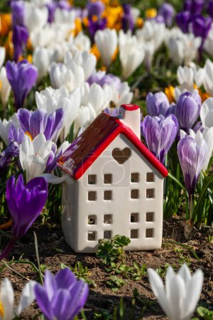 Miniature ceramic house among blooming crocus flowers