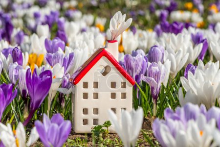 Miniature ceramic house among blooming crocus flowers