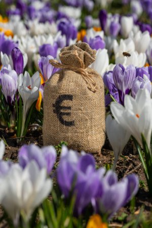 Money bag with euro currency symbol on background of blooming crocus flowers