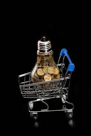 Conceptual story about the cost of electricity in Kazakhstan with an incandescent light bulb filled with coins worth 1 Kazakh tenge