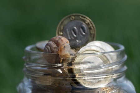 Eine Schnecke kriecht in einem Glasgefäß über Münzen von 100 und 200 kasachischen Tenge