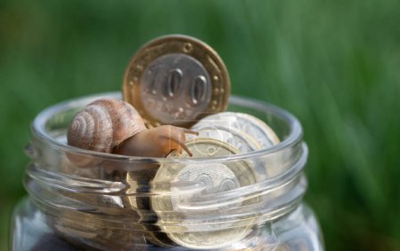 A snail crawls over coins of 100 and 200 Kazakhstani tenge in a glass jar
