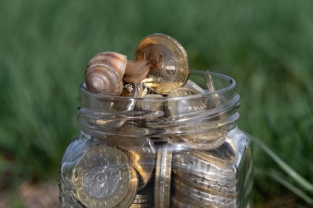 Un caracol se arrastra sobre monedas de 100 y 200 tenge kazajos en un frasco de vidrio