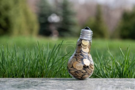 An incandescent lamp filled with 1 Kazakhstani tenge coins on a background of grass