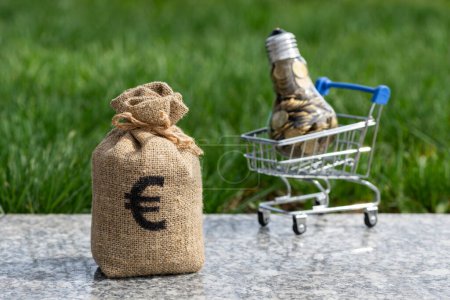 Bolsa de dinero con símbolo del euro y bombilla incandescente llena de monedas en el fondo de hierba