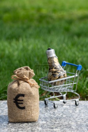 Bolsa de dinero con símbolo del euro y bombilla incandescente llena de monedas en el fondo de hierba