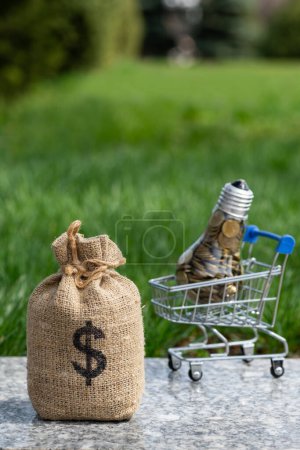 Money bag with dollar symbol and incandescent light bulb filled with coins on grass background
