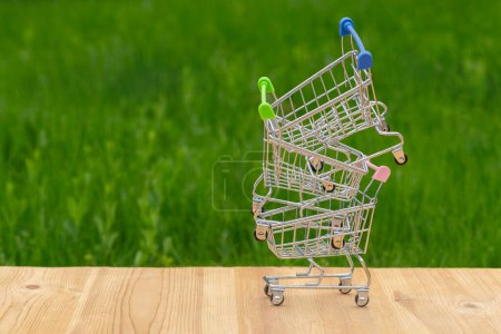 Miniature shopping cart from a supermarket on a background of grass