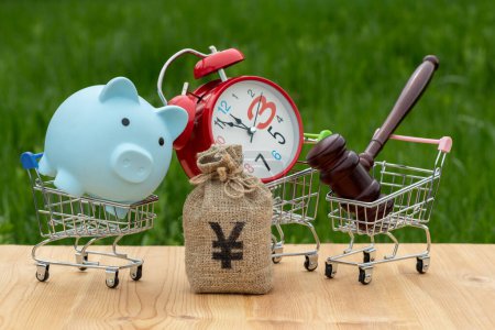 Money bag with Chinese Yuan symbol, shopping cart, clock and judge's gavel on grass background