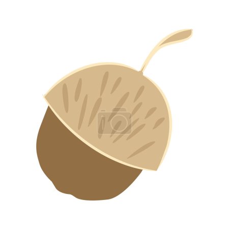 Illustration for Acorn Nut Icon Vector Illustration - Royalty Free Image