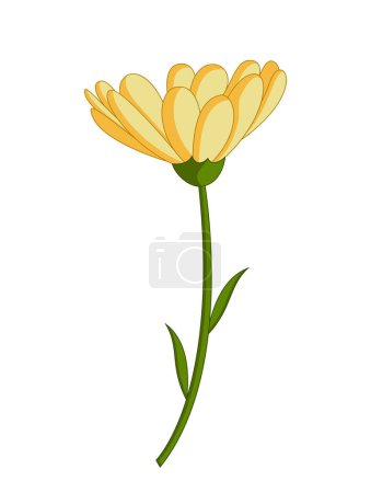 Téléchargez les illustrations : Illustration vectorielle de bourgeon de chrysanthème jaune simple - en licence libre de droit