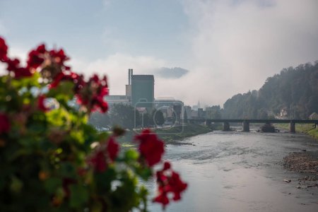 Photo for Panorama of the city of Lasko, with tran bridge and beer factory in the background and famous flower in the foreground. - Royalty Free Image