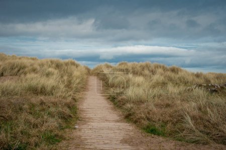 Foto de Entrada arenosa y cubierta de hierba a la playa en Castlerock, Irlanda del Norte en un día nublado. Pintoresca entrada a la playa por sendero frondoso - Imagen libre de derechos