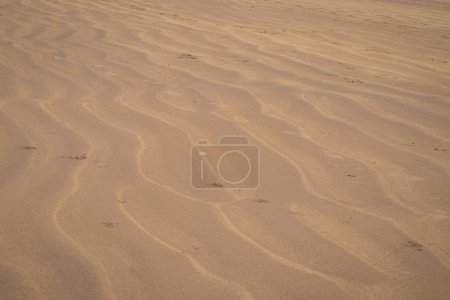 Foto de Pequeñas dunas de arena o ondulaciones en una playa de arena en Castlerock, Irlanda del Norte. - Imagen libre de derechos