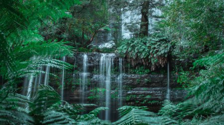 Magical Russel falls in mount field national park, Tasmania, enchanting serene waterfall in the heart of jungle. Green and gray like setting.