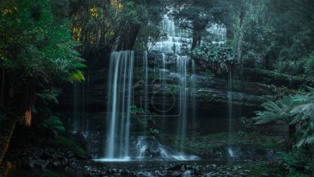 Magical Russel falls in mount field national park, Tasmania, enchanting serene waterfall in the heart of jungle. Green and gray like setting.