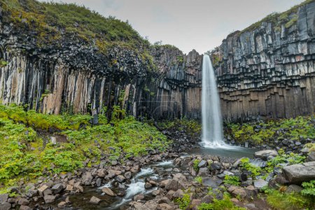 Wasserfall Svartifoss in der Skaftafell-Region auf Island. Schöner Wasserfall aus der Ferne, viel Wasser von vertikalen Basaltsäulen.