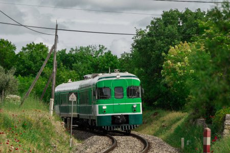 Grüner Zug oder zeleni vlak, der Ljubljana, Slowenien und Pula, Kroatien, auf dem Weg zum Endbahnhof verbindet. Malerischer grüner Zug zwischen istrischer Landschaft und geradem Gleis