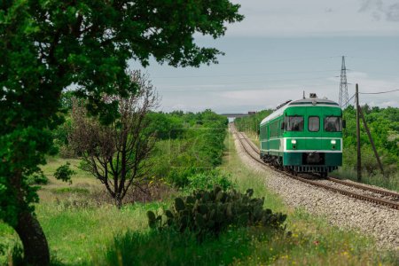 Grüner Zug oder zeleni vlak, der Ljubljana, Slowenien und Pula, Kroatien, auf dem Weg zum Endbahnhof verbindet. Malerischer grüner Zug zwischen istrischer Landschaft und geradem Gleis