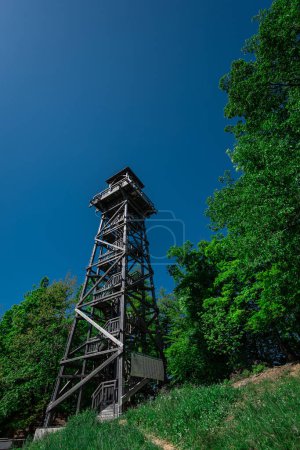 Aussichtsturm aus Holz, genannt Stolp Ljubezni oder Turm der Liebe, in der Nähe von Sentjur pri Celju in Slowenien, Aussichtsturm am Rande eines Hügels am Waldrand
