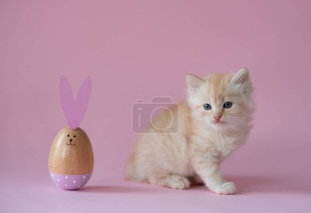Téléchargez les photos : Easter concept scene with little ginger kitten.Pink background - en image libre de droit