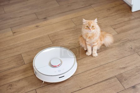 Aspirateur robot blanc sur sol en bois. Chat roux sur le sol dans le salon regardant comment robot nettoyer le sol.