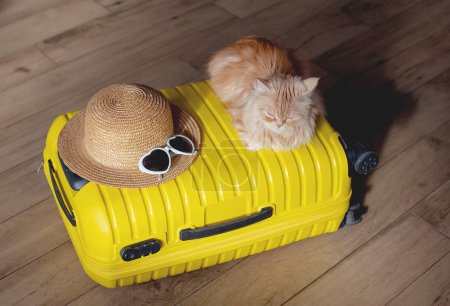 Foto de Concepto de viaje con gato divertido sentado en la maleta. vida con animales concepto - vagabundeo personas que viajan por el mundo - Imagen libre de derechos