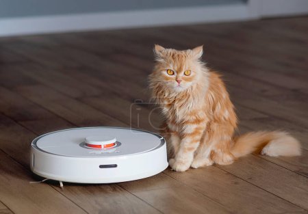 Téléchargez les photos : Aspirateur robotique sur le sol avec chat roux surpris - en image libre de droit
