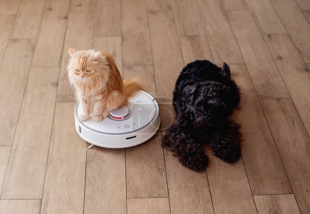 Foto de Perro y gato jugando juntos en casa mientras la aspiradora robótica limpia la habitación - Imagen libre de derechos