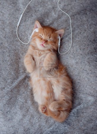Foto de Ginger kitten escucha música en los auriculares. concepto de mascotas lindo - Imagen libre de derechos