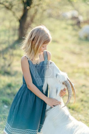 Foto de Niña jugando y alimentándose con cabras en la granja de queso de cabras al aire libre. alimentar a las niñas y mascotas cabras en la granja - Imagen libre de derechos