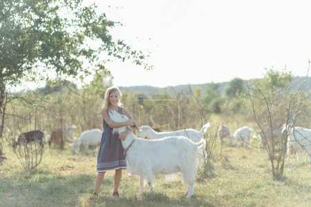 Téléchargez les photos : Adorable fille jouant avec des chèvres à la ferme. Enfant se familiarisant avec les animaux. L'agriculture et le jardinage. Activités d'été en plein air pour enfants - en image libre de droit