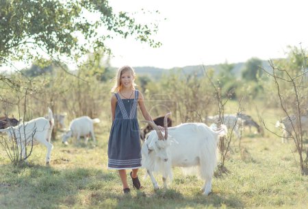 Foto de Niña jugando y alimentándose con cabras en la granja de queso de cabras al aire libre. alimentar a las niñas y mascotas cabras en la granja - Imagen libre de derechos