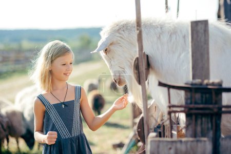 Photo for Cute kid feeding little goats and sheeps on farm. child petting animals in the zoo. Excited and happy kid on family weekend - Royalty Free Image