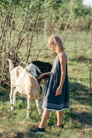 Foto de Niña jugando y alimentándose con cabras en la granja de queso de cabras al aire libre - Imagen libre de derechos