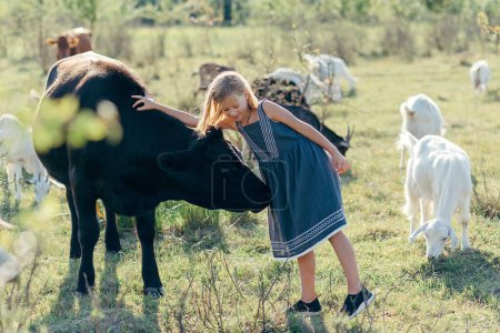 Foto de Niña caucásica alimentando vacas con en el paddock en la granja. Estilo de vida rural moderno. Agricultura y agricultura. Cálido día soleado - Imagen libre de derechos