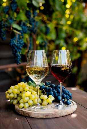 Téléchargez les photos : Deux verres avec vin blanc et rouge sur un tonneau en bois dans le vignoble. - en image libre de droit