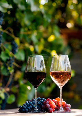 Téléchargez les photos : Verres de vin rose et rouge sur une assiette en bois dans le vignoble - en image libre de droit