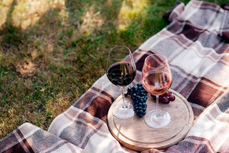 Foto de Dos copas de vino, tema de picnic - Imagen libre de derechos