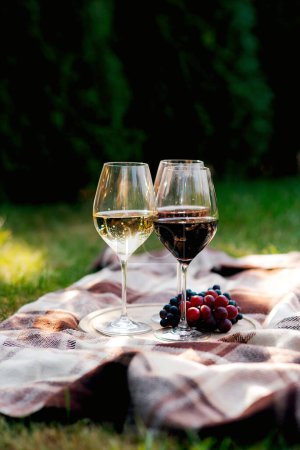Téléchargez les photos : Deux verres de vin, thème pique-nique - en image libre de droit