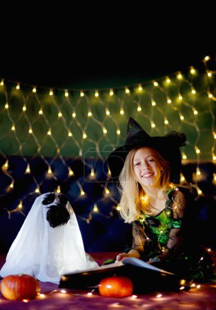 Photo for Funny girl kid child in halloween costume of witch and black hat decorated with pumpkins with dog in Dracula cloak - Royalty Free Image