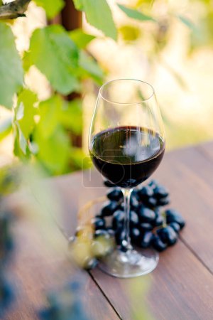 Foto de Copa de vino tinto sobre la mesa - Imagen libre de derechos