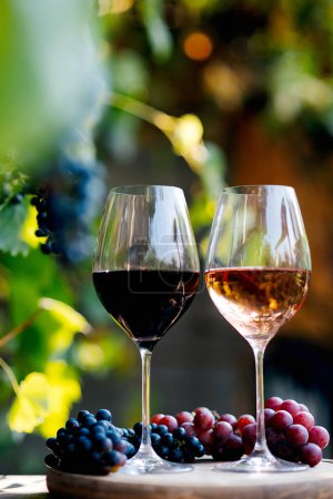 Téléchargez les photos : Vin pour dégustation sur table dans le vignoble - en image libre de droit