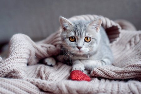 Téléchargez les photos : Drôle gris chat lèche un rouge sucette. - en image libre de droit