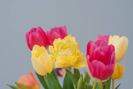 Foto de Flores en un jarrón. tulipanes - Imagen libre de derechos