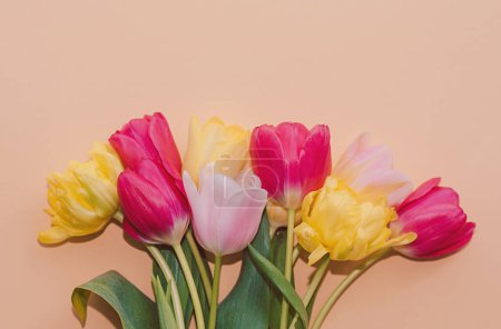 Téléchargez les photos : Bouquet de tulipes sur fond uni avec une lumière douce et une faible profondeur de champ - en image libre de droit