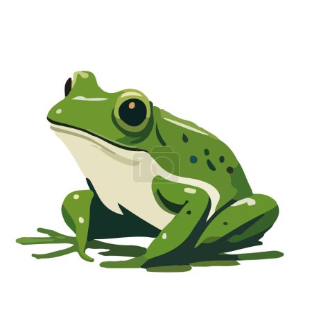 Illustration pour Grenouille, amphibien, animal, faune, reptile, vert, crapaud, illustration, - image libre de droit