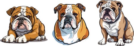 Kopf und ganzer Körper einer englischen Bulldogge, in ruhiger, natürlicher Sitzposition mit freundlicher Erscheinung und natürlicher Körperfarbe, farbenfrohe Vektorillustration im Cartoon-Stil